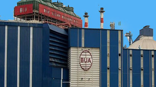 BUA Foods Proposes Record ₦504bn Dividend After Profit Doubles in 2025