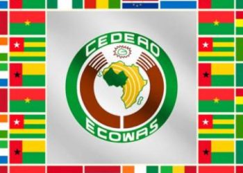 ECOWAS Intervention Frees Nigerian Onion Trucks Detained in Ghana