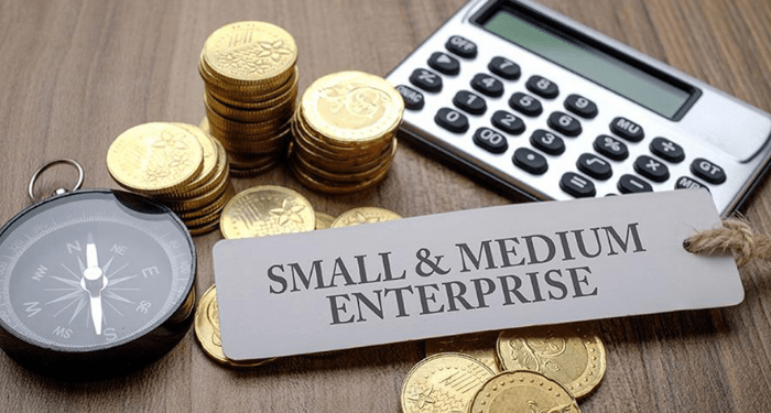 80% of Nigerian MSMEs Vanish in 5 Years – Here’s How the Smart Ones Survive