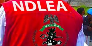 Nigeria’s NDLEA Seizes 14.8M Kg of Drugs in Five-Year Crackdown