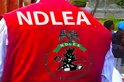 Nigeria’s NDLEA Seizes 14.8M Kg of Drugs in Five-Year Crackdown