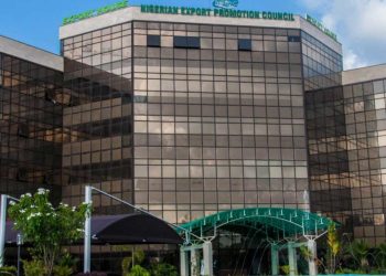 NEPC Targets Cashew, Sesame, Soya Clusters to Boost Kwara Exports
