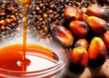 Africa’s Top Producer Still Imports Palm Oil
