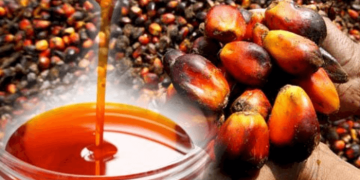 Africa’s Top Producer Still Imports Palm Oil