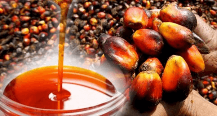 Africa’s Top Producer Still Imports Palm Oil