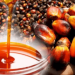 Africa’s Top Producer Still Imports Palm Oil
