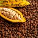 Nigeria Pushes Cocoa Value Addition with New Regional Alliance
