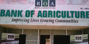 Energy Poverty Costs Nigeria’s Food Sector ₦3.5tn Annually – BoA
