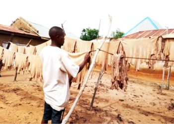 How Nigeria’s Leather Industry Lost Its Global Dominance After the Oil Boom