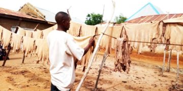 How Nigeria’s Leather Industry Lost Its Global Dominance After the Oil Boom