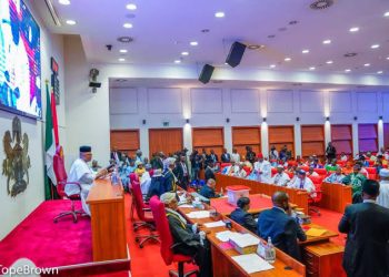 Senate Passes Insurance Regulatory Commission Bill to Overhaul Nigeria’s Insurance Industry