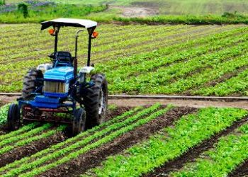 Nigeria’s Farm Mechanisation Drive Stalls as Farmers Struggle to Afford Equipment