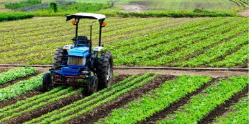 Nigeria’s Farm Mechanisation Drive Stalls as Farmers Struggle to Afford Equipment