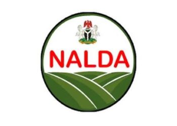 NALDA Trains 700 Kwara Women Farmers to Boost Food Security
