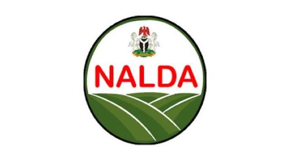 NALDA Trains 700 Kwara Women Farmers to Boost Food Security