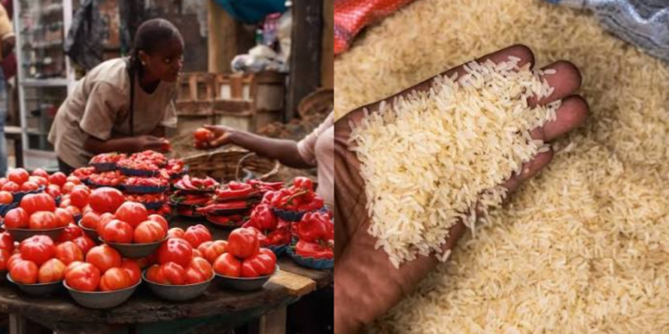 Nigeria Faces Potential Food Supply Strains as Production Falls, Costs Rise, OTACCWA Warns