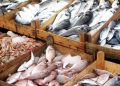 Fish: Nigeria’s Import Dependence and the Aquaculture Imperative