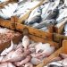 Fish: Nigeria’s Import Dependence and the Aquaculture Imperative