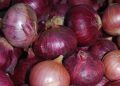 Nigerian Onion Traders Halt Ghana Exports, Seek ECOWAS Intervention