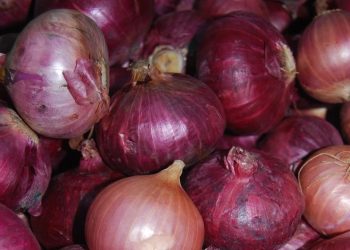 Nigerian Onion Traders Halt Ghana Exports, Seek ECOWAS Intervention