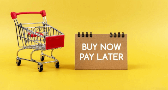 Nigeria’s BNPL Market Emerges as New Source of Credit Data