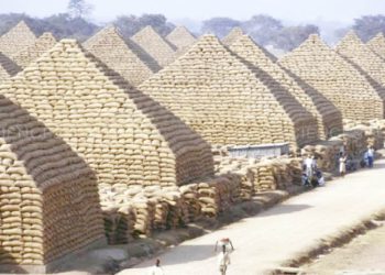 Groundnut Pyramids of Kano