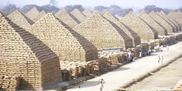 Groundnut Pyramids of Kano