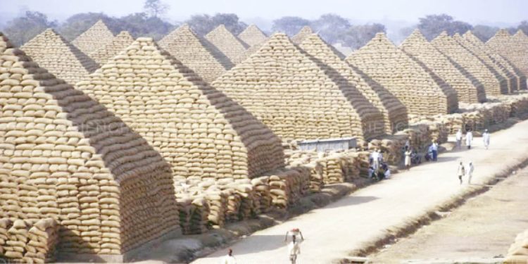Groundnut Pyramids of Kano