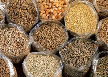 Nigeria Approves 57 Crop Varieties Plus New Poultry Breed