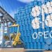 Nigeria Exceeds OPEC Quota for Third Straight Month in July