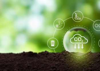 Nigeria Bets on Carbon Markets, With Agriculture Emerging as a Key Asset