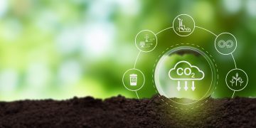 Nigeria Bets on Carbon Markets, With Agriculture Emerging as a Key Asset