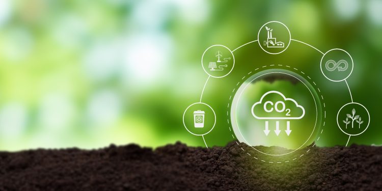 Nigeria Bets on Carbon Markets, With Agriculture Emerging as a Key Asset
