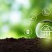 Nigeria Bets on Carbon Markets, With Agriculture Emerging as a Key Asset