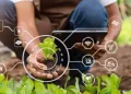 Nigeria Launches Climate-Smart Agribusiness Project to Strengthen Farm Resilience