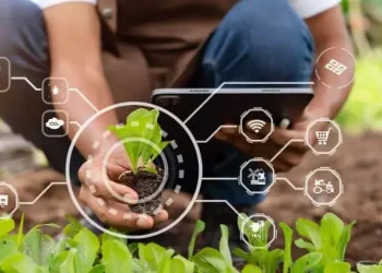 Nigeria Launches Climate-Smart Agribusiness Project to Strengthen Farm Resilience