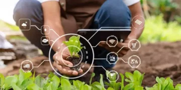 Nigeria Launches Climate-Smart Agribusiness Project to Strengthen Farm Resilience