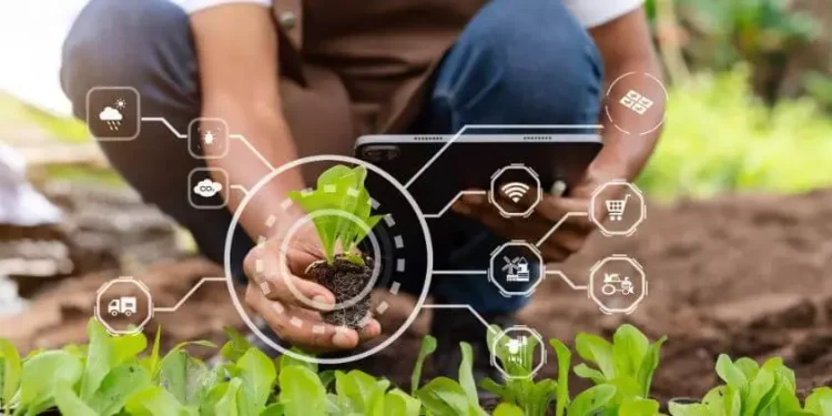 Nigeria Launches Climate-Smart Agribusiness Project to Strengthen Farm Resilience