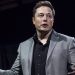 Musk’s Grok Sparks Debate Over Nigeria’s Birth Rate Advantage Over EU