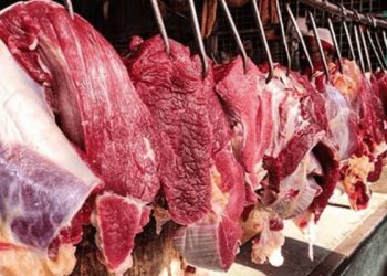 Nigeria’s Soaring Protein Costs Force Painful Dietary Shifts