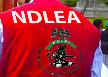 NDLEA Seizes ₦3.6bn Drugs, Arrests India-Bound Businessman