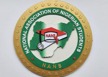 NANS Raises Alarm Over Fake Drugs, Food Safety Risks in Nigeria
