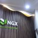 Naira Ends Week Stronger as Reserves Hit $54.08bn