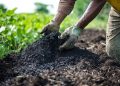 Adamawa Approves N2.2bn Fertiliser Support For Farmers