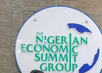 NESG Says Nigeria Needs More Investment to Create Jobs