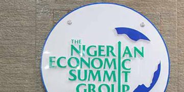 NESG Says Nigeria Needs More Investment to Create Jobs