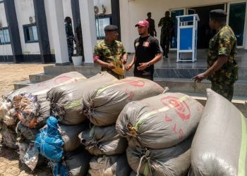 Navy Hands Over 19 Bags of Suspected Cannabis to NDLEA in Anambra