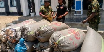 Navy Hands Over 19 Bags of Suspected Cannabis to NDLEA in Anambra