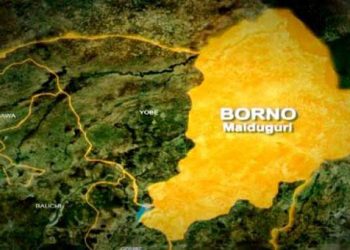 Borno’s Falling Food Prices Clash With Deepening Hunger Crisis