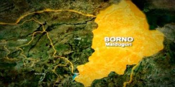 Borno’s Falling Food Prices Clash With Deepening Hunger Crisis